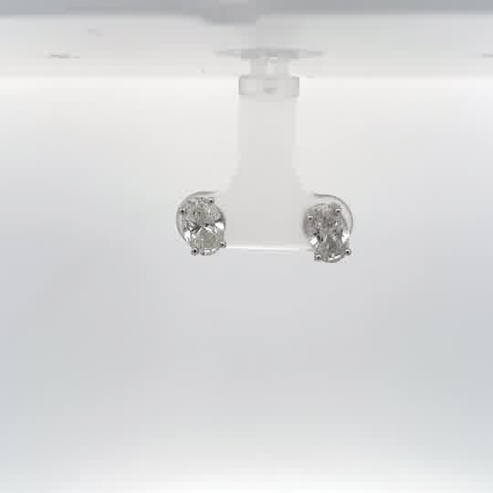 Diamond Oval Stud Earrings in White Gold