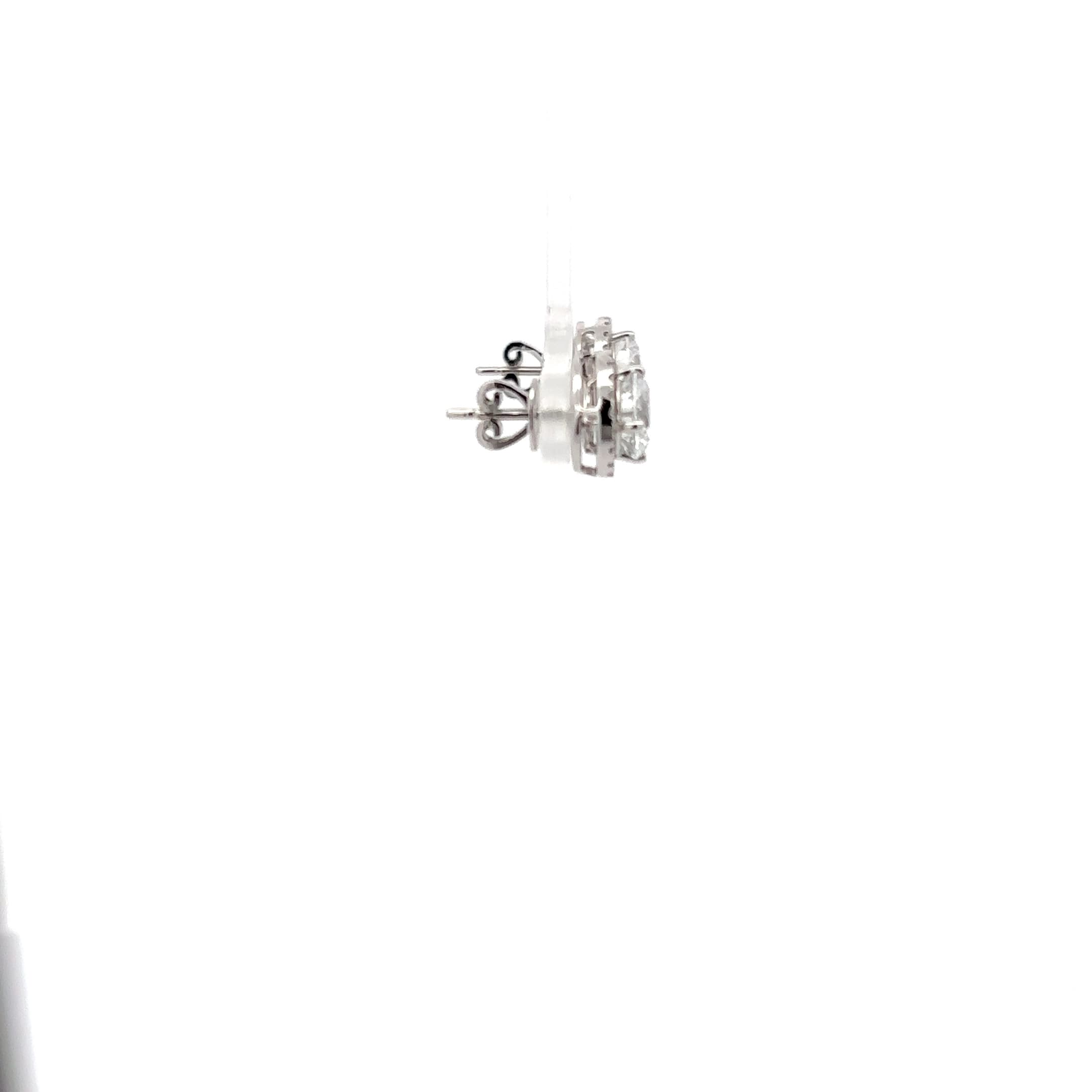 Diamond Stud Earrings in White Gold Plated Silver 5