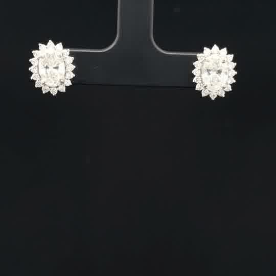 Oval Diamond Halo Stud Earrings in White Gold